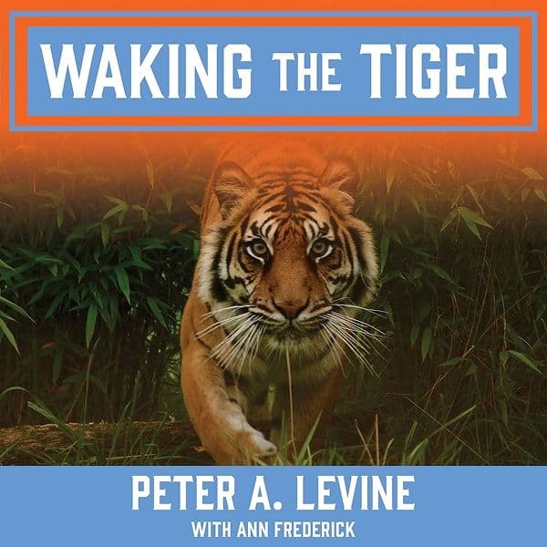 Waking the Tiger resource image